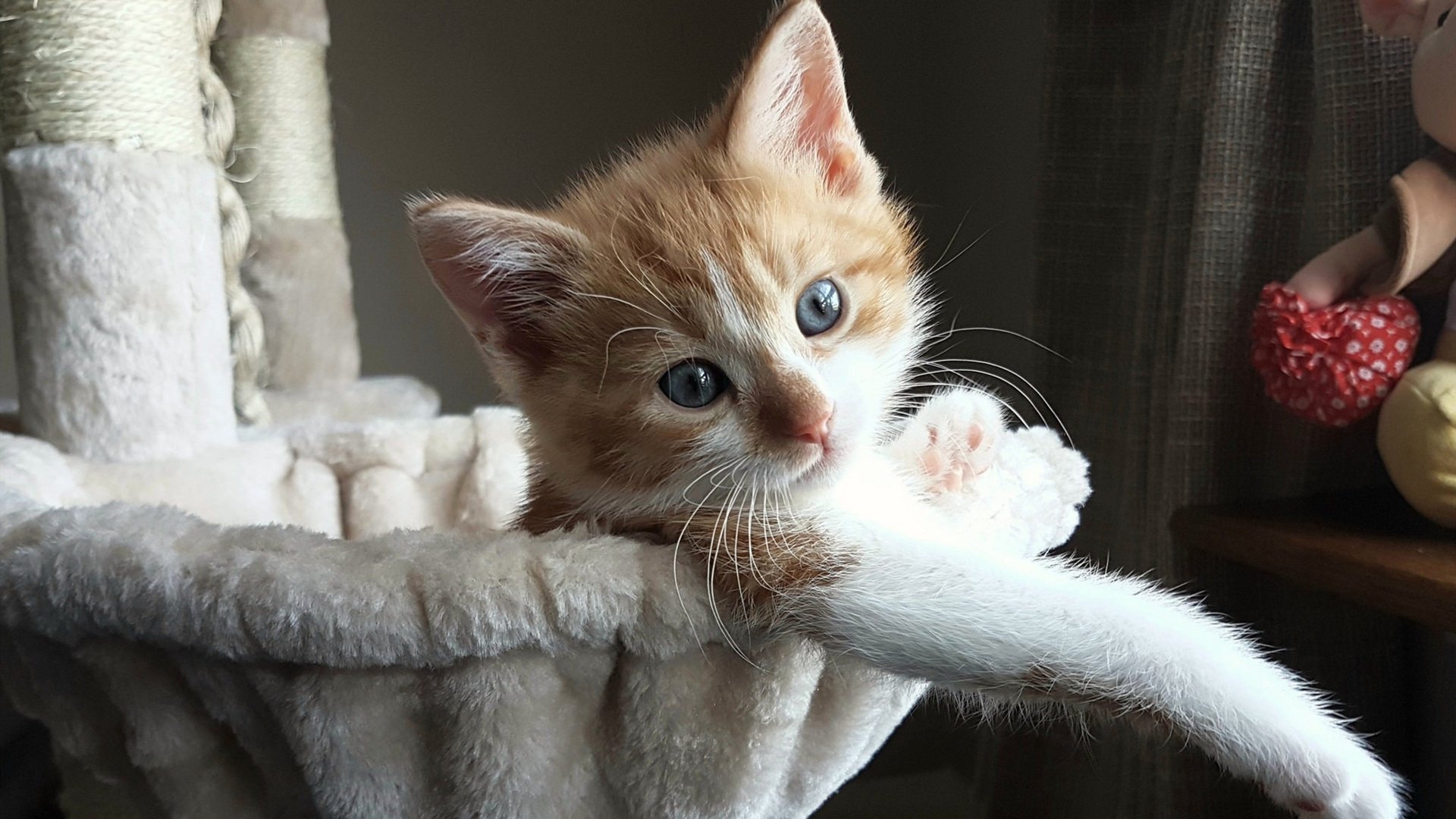 德甲争冠夜变剧本杀，拜仁掉链子，勒沃库森逆袭，球迷，这剧情NBA都编不出！